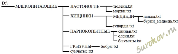 Даны полные имена файлов, хранящихся на диске D, изобразите