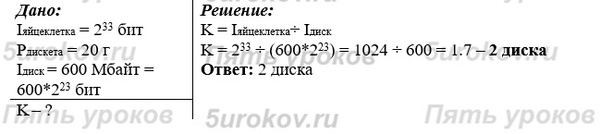 Информационная ёмкость человеческой яйцеклетки приблизительно равна